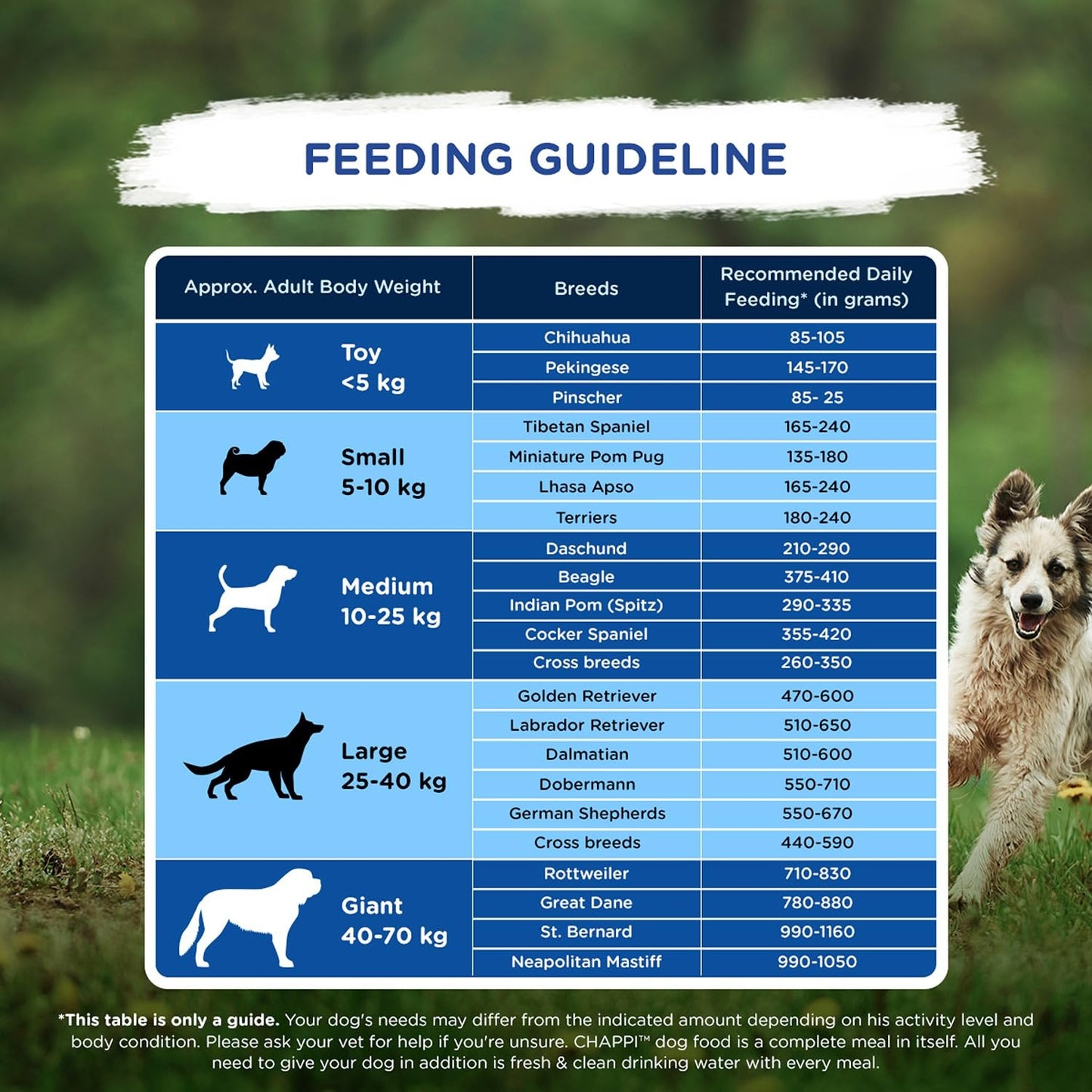 Chappi Adult (1+ Years) Dry Dog Food, Chicken & Rice, 2.8 kg, Complete and Balanced Food for Adult Dogs,
