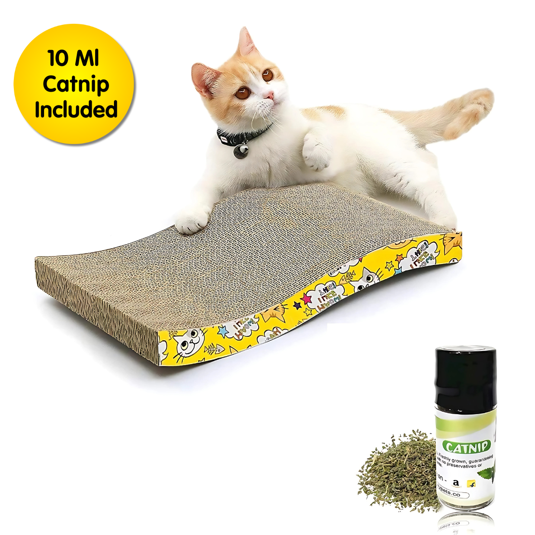 2 in 1 Cat Scratcher Cardboard