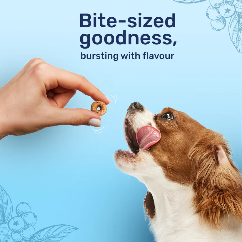 Berry Bites Dog Treat