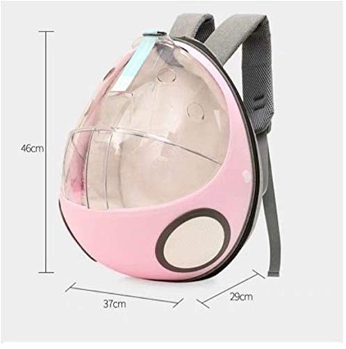 Transparent Bag