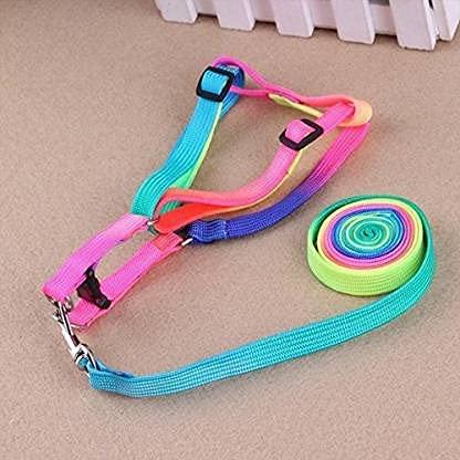 Puppy Harness Body Belt
