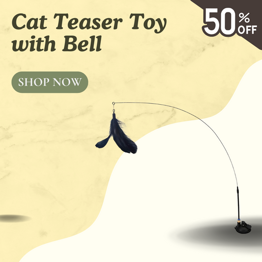 Cat Teaser Toy with Bell