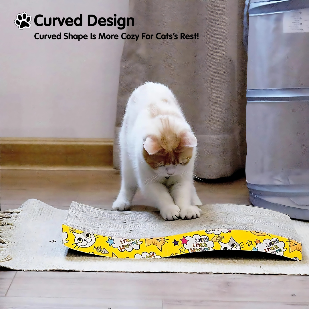 2 in 1 Cat Scratcher Cardboard