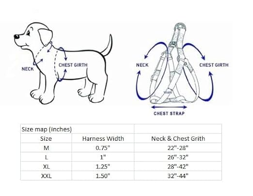 Fur Collar Leash