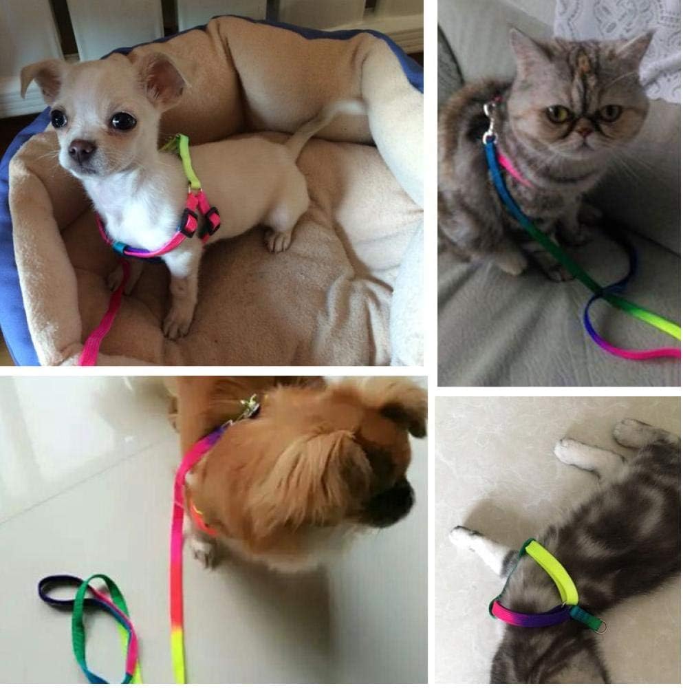 Puppy Harness Body Belt