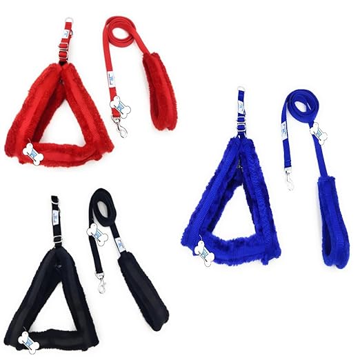Fur Collar Leash