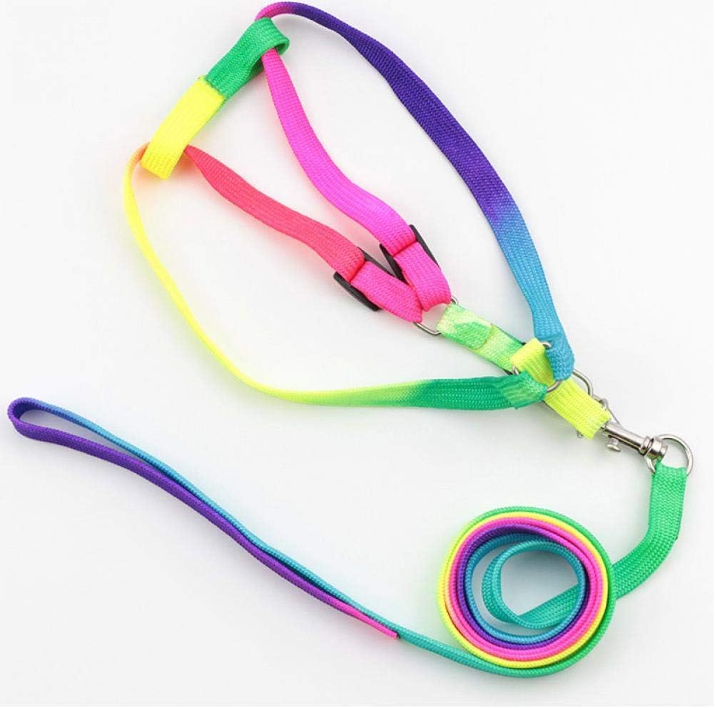 Puppy Harness Body Belt