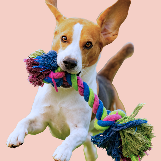 Interactive Chew Toy for Dogs