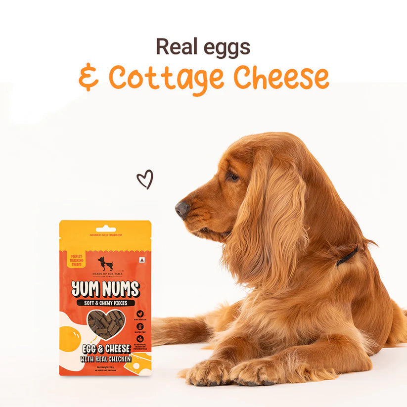 Yum Nums Dog Treats - Cheese