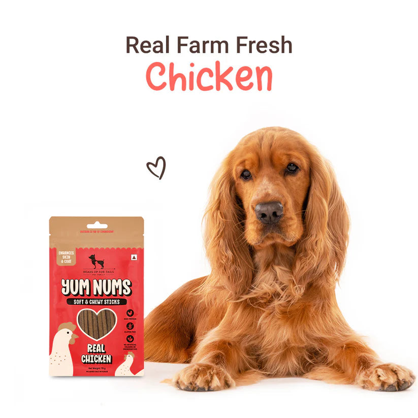 Yum Nums Soft & Chewy Sticks – Real Chicken – 75g