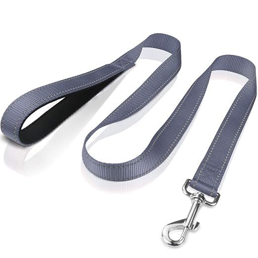 Reflective Leash