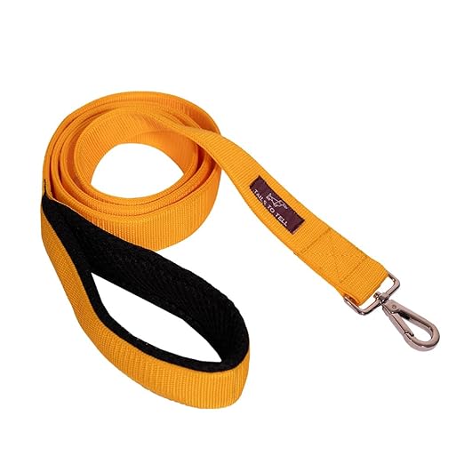 Leash With Collar