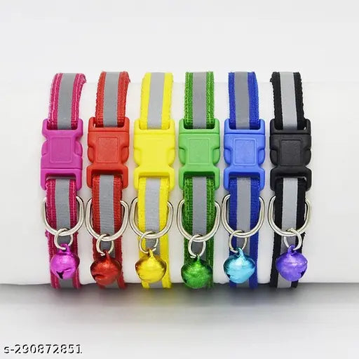 Puppy Collar 06