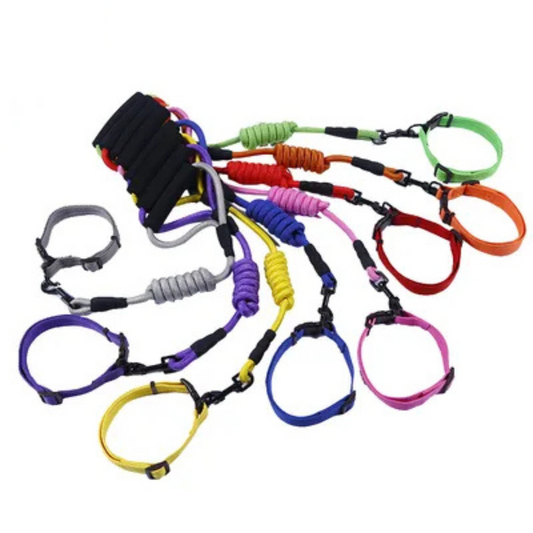 Rope Leash With Collar