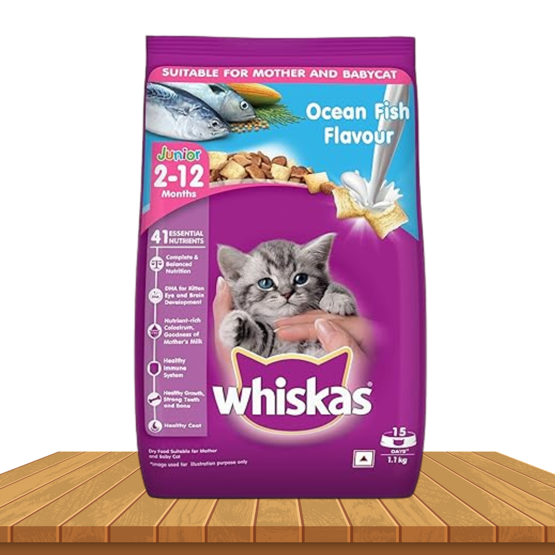 Whiskas Junior Mother Cat & Kitten (2-12 Months) Dry Cat Food, Ocean Fish Flavour, 1.1 kg, Contains 41 Essential Nutrients, Complete & Balanced Nutrition for Mother Cats & Kittens