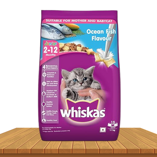 Whiskas Junior Mother Cat & Kitten (2-12 Months) Dry Cat Food, Ocean Fish Flavour, 1.1 kg, Contains 41 Essential Nutrients, Complete & Balanced Nutrition for Mother Cats & Kittens