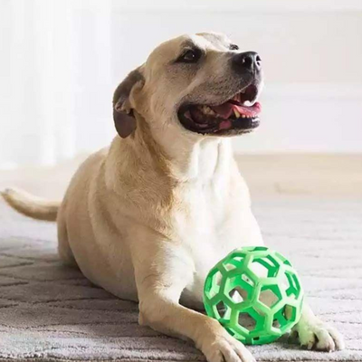 Dog Toys