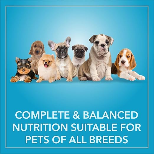 Purepet Chicken & Veg Puppy Dog Food, 1 kg, Granule