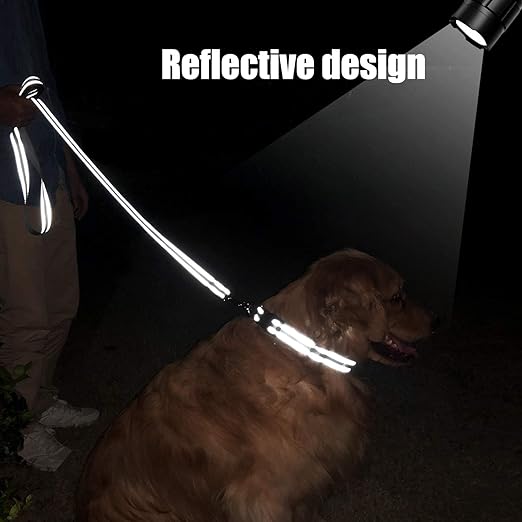 Reflective Leash