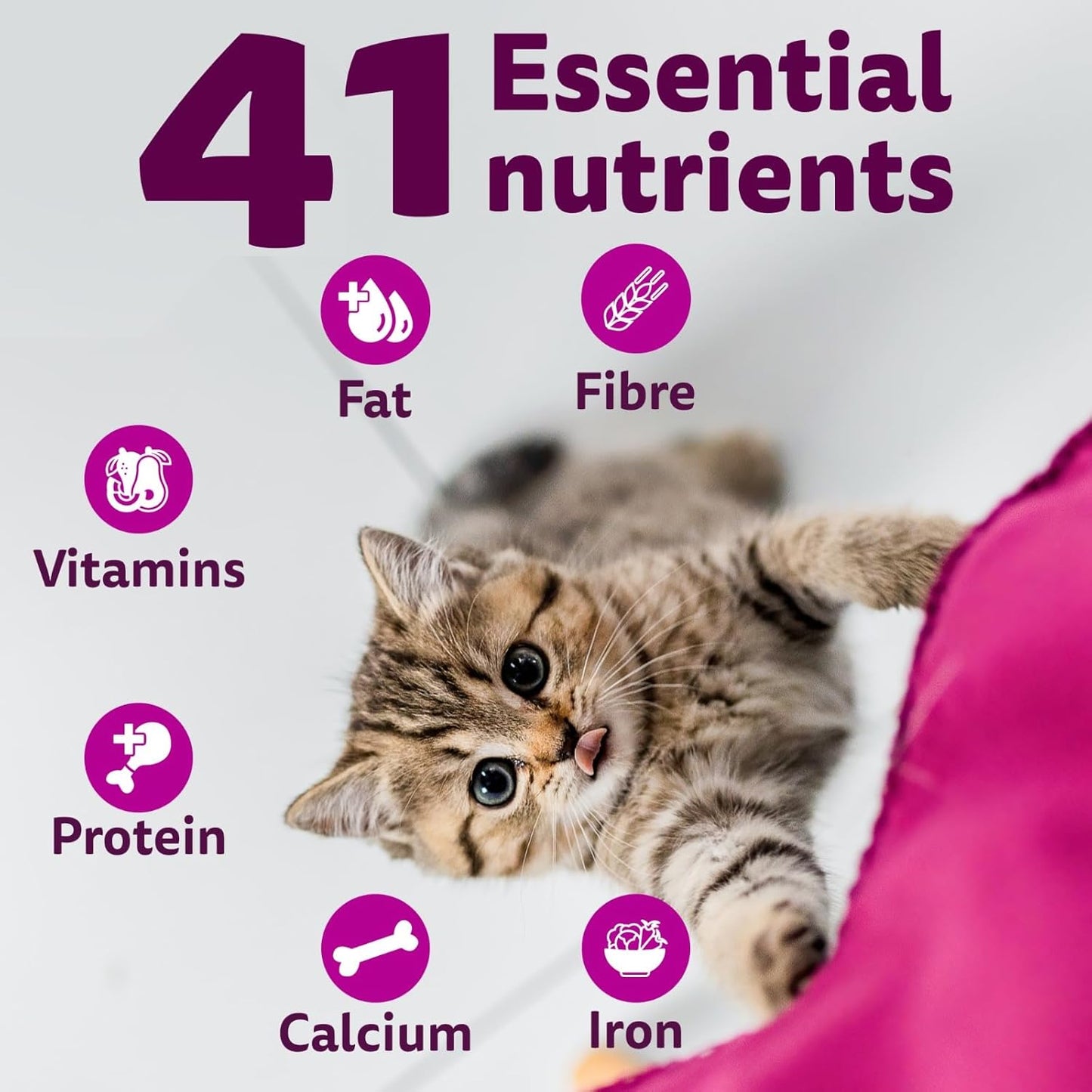 Whiskas Junior Mother Cat & Kitten (2-12 Months) Dry Cat Food, Ocean Fish Flavour, 1.1 kg, Contains 41 Essential Nutrients, Complete & Balanced Nutrition for Mother Cats & Kittens