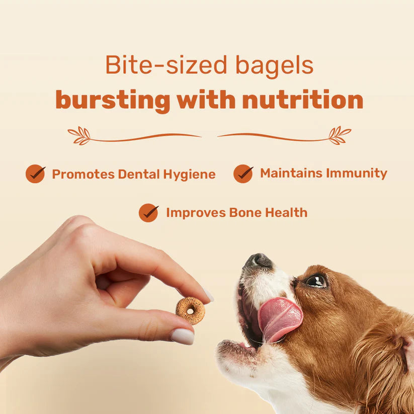 Bagel Bites Dog Treat