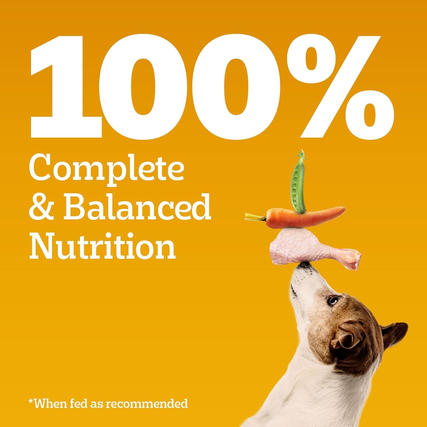 Pedigree Adult Dry Dog Food, Chicken & Vegetables, 3 kg, Contains 37 Essential Nutrients, 100% Complete & Balanced Food for Adult Dogs