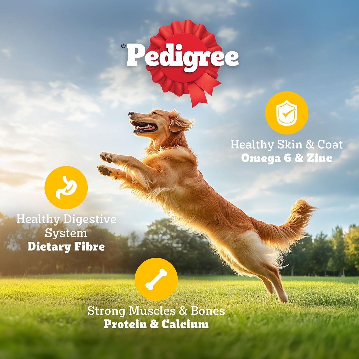 Pedigree Adult Dry Dog Food, Chicken & Vegetables, 3 kg, Contains 37 Essential Nutrients, 100% Complete & Balanced Food for Adult Dogs
