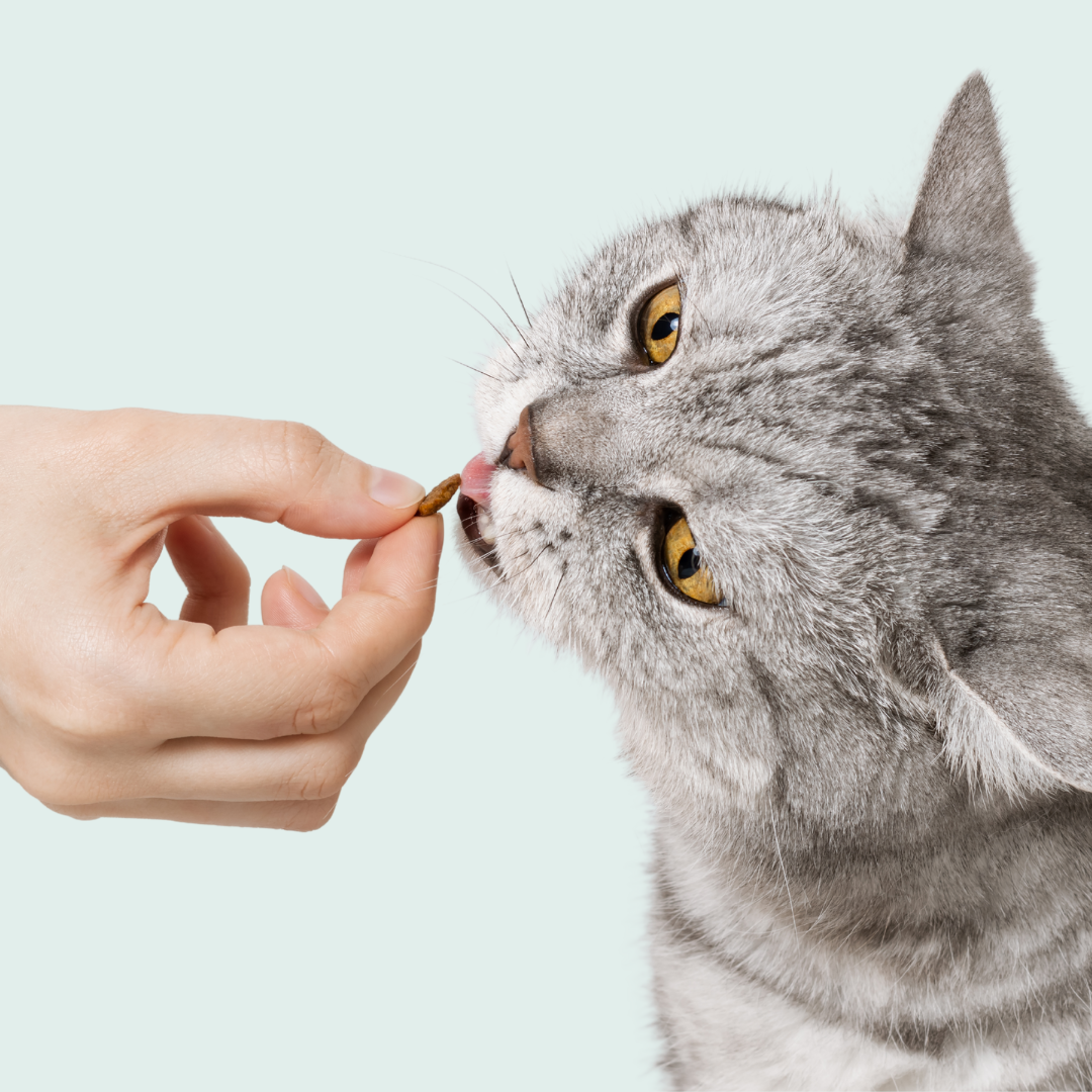 Treat