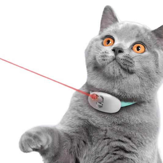Laser Teasing Cat Collar