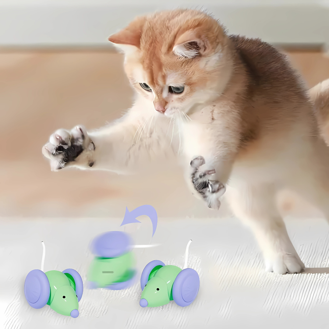 Auto Run Cat Mouse Toy