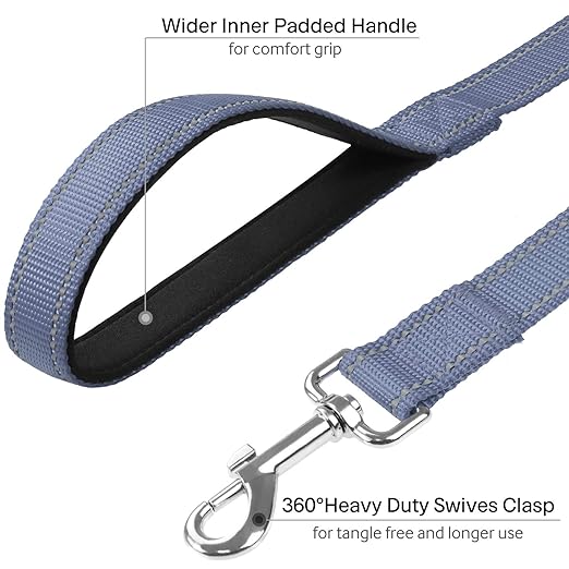 Reflective Leash