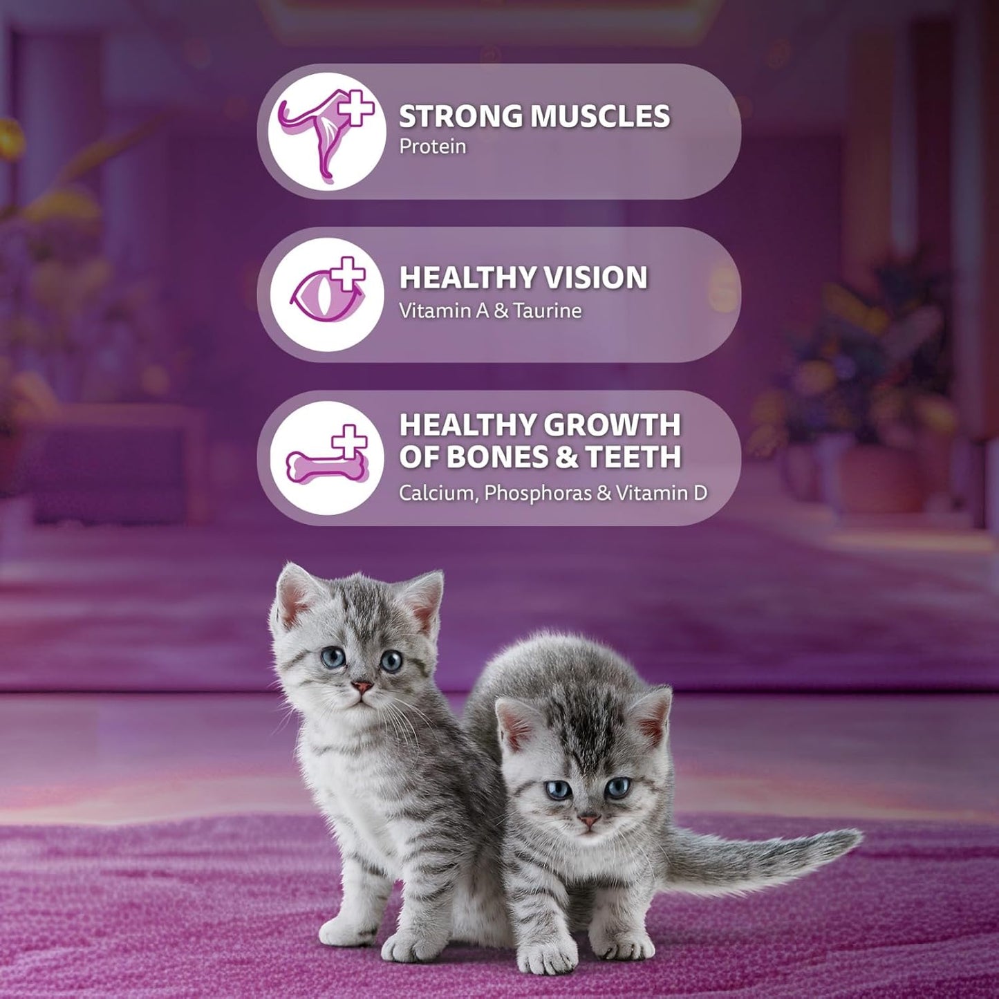 Whiskas Junior Mother Cat & Kitten (2-12 Months) Dry Cat Food, Ocean Fish Flavour, 1.1 kg, Contains 41 Essential Nutrients, Complete & Balanced Nutrition for Mother Cats & Kittens