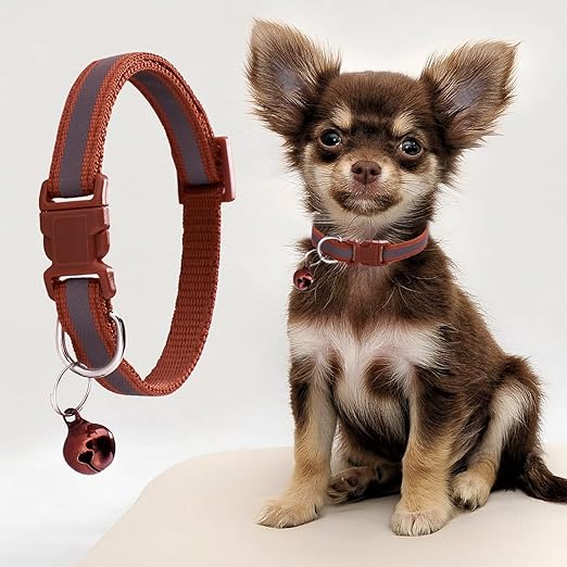 Puppy Collar 06