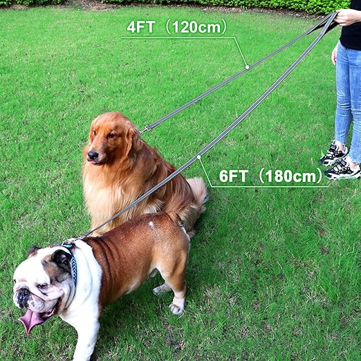 Reflective Leash